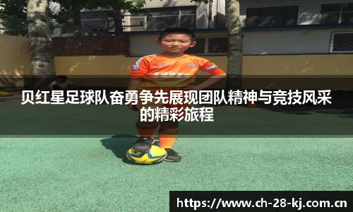 加拿大28